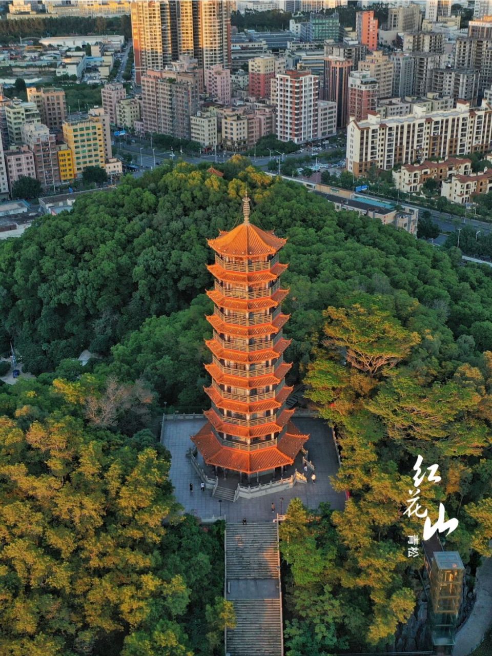 深圳‖ 红花山公园 一个被称为草海的浪漫主题公园