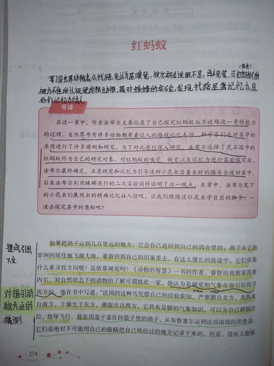 《昆虫记》第三十八章 红蚂蚁{上}  因为前几周忙着备考,所以说没