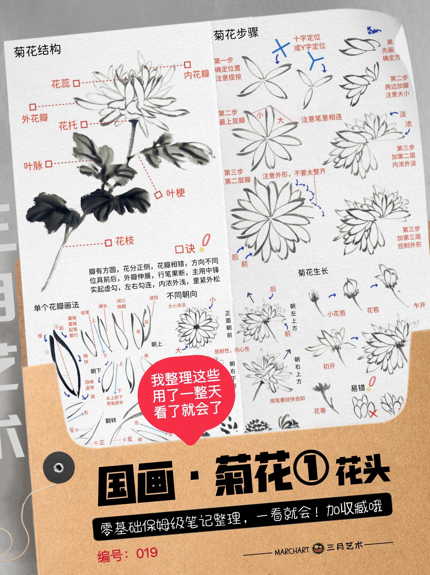 国画入门19|菊花画法79双勾花瓣6015干货分享