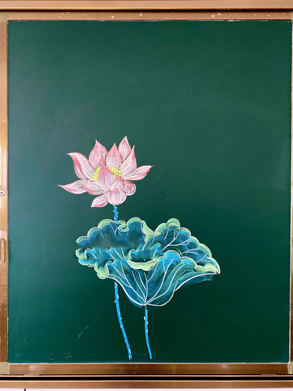 中又画了一幅粉笔画,一直都很喜欢画荷花,从来还没有尝试过在黑板画