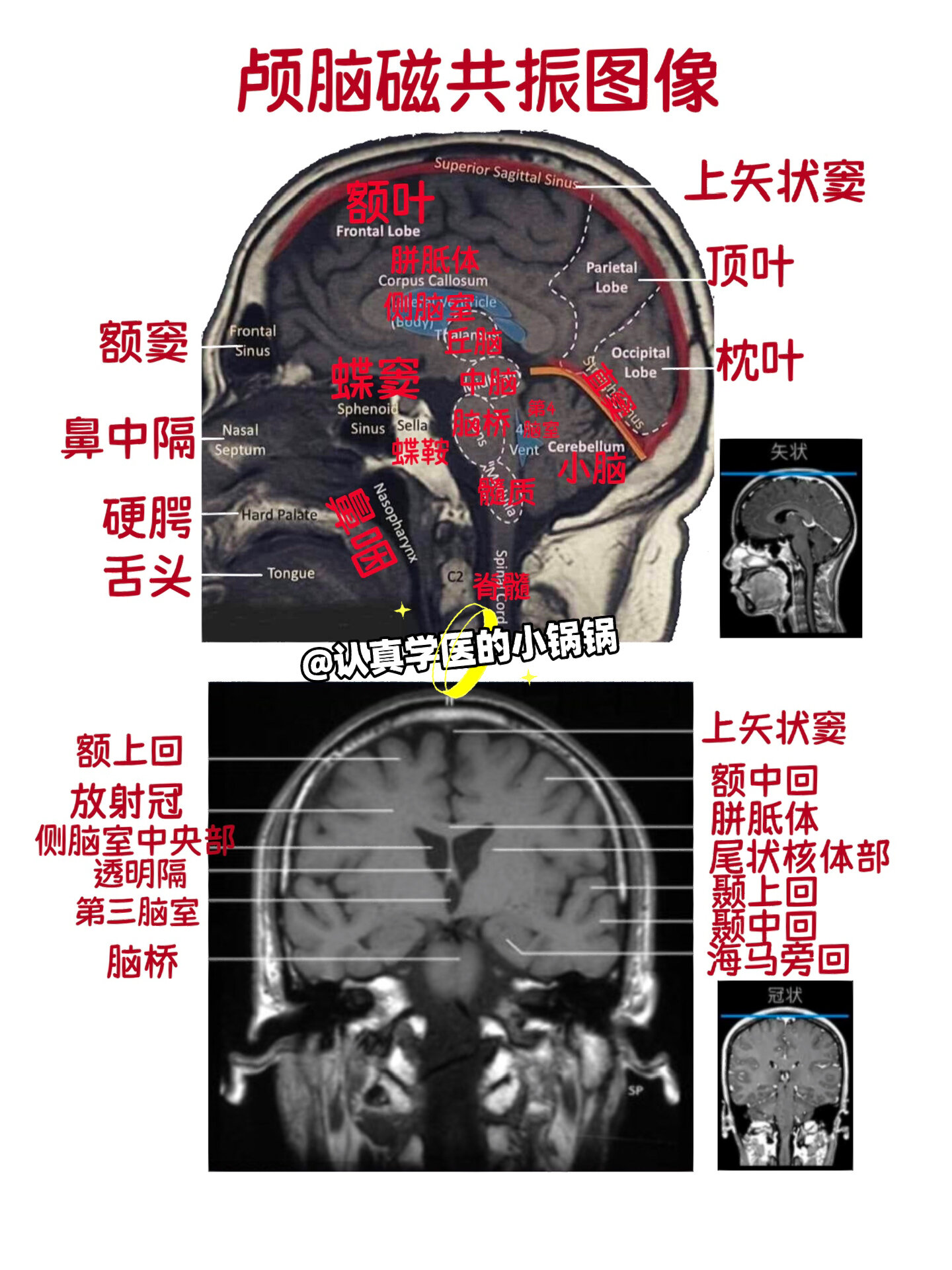 科普 63