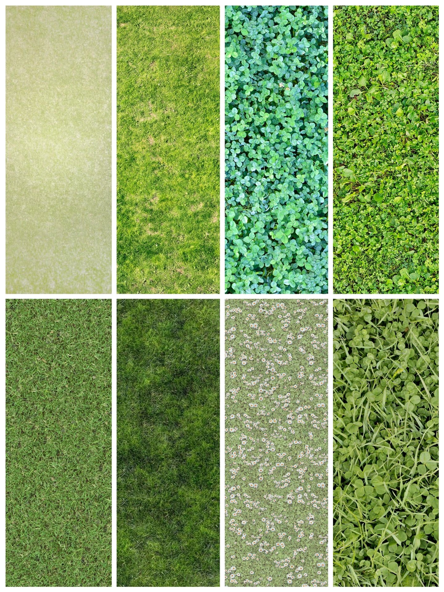 280款高清草丛草皮草坪草地贴图景观园林ps纹理花镜花海效果图psd素材