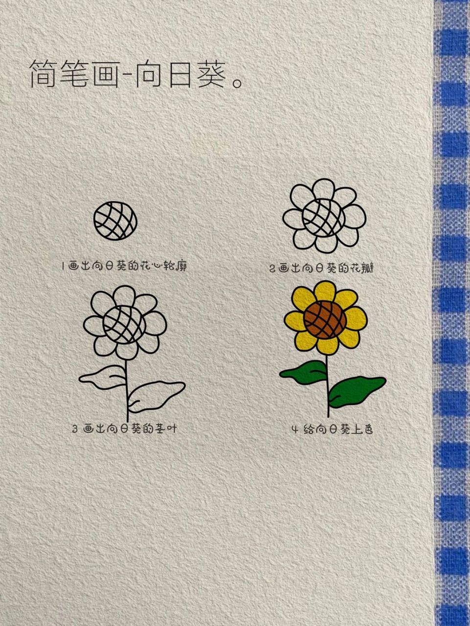 今日简笔画(5)//97向日葵 简单易上手的向日葵97画法来啦.