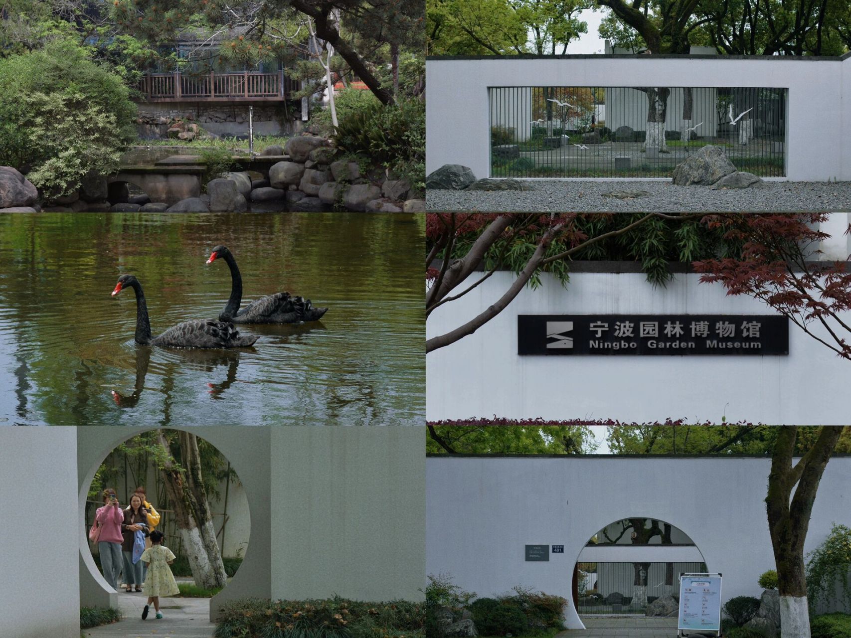 宁波园林博物馆|虽由人做 宛如天开 宁波园林博物馆建于绿岛公园内,北