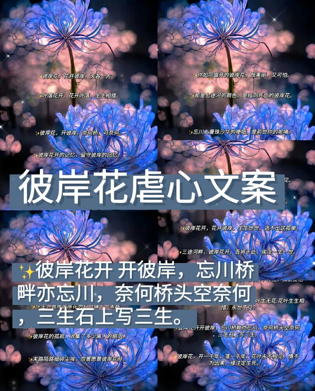 彼岸花虐心花语