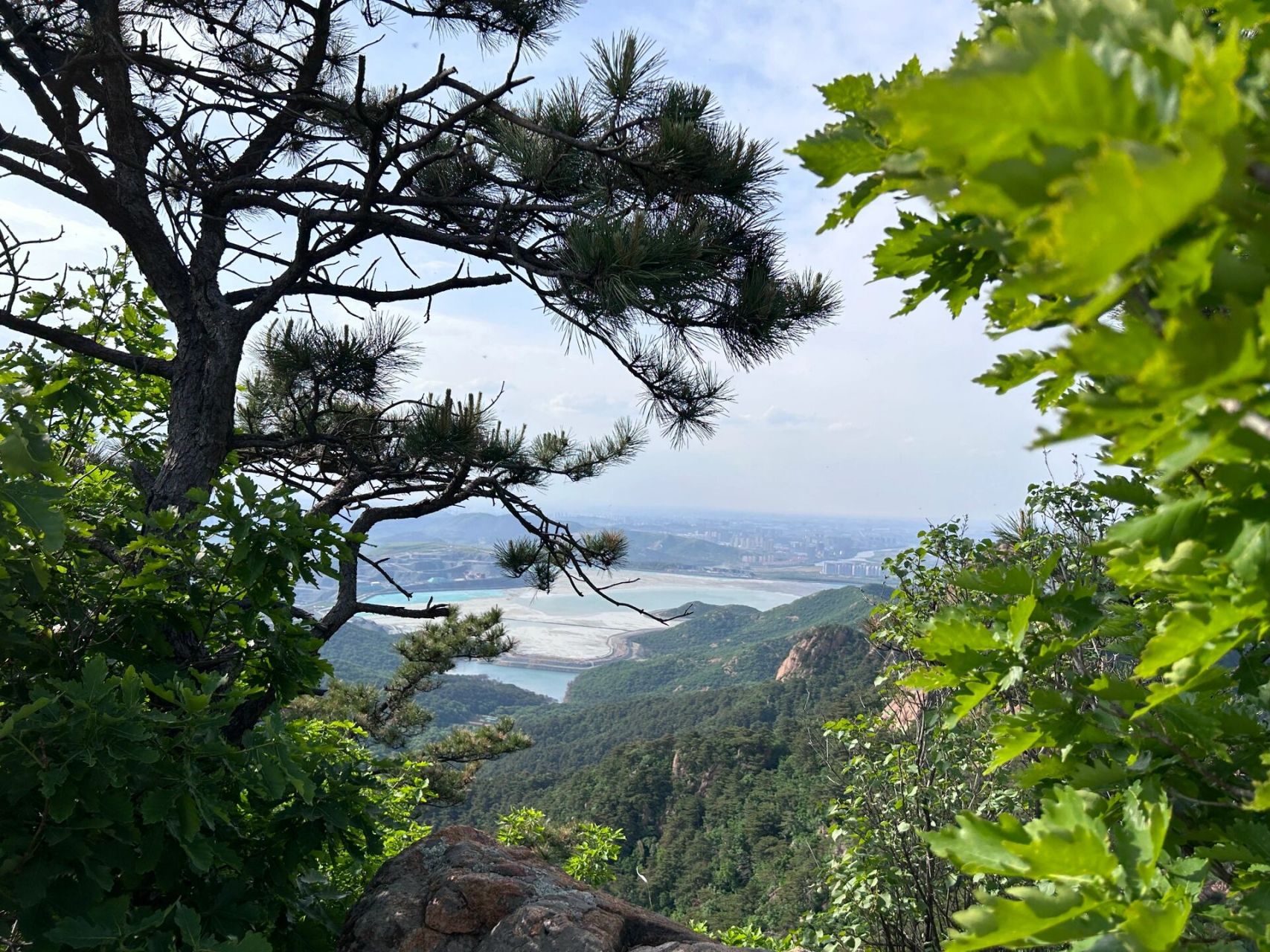 鞍山旅游 / 千山一日游  沈阳坐高铁到的鞍山西 坐60路公交到绿色智慧