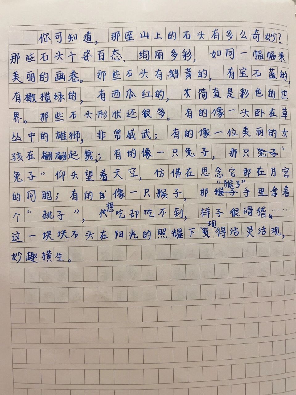 三年级作文——小练笔《山上石头有多么奇妙》