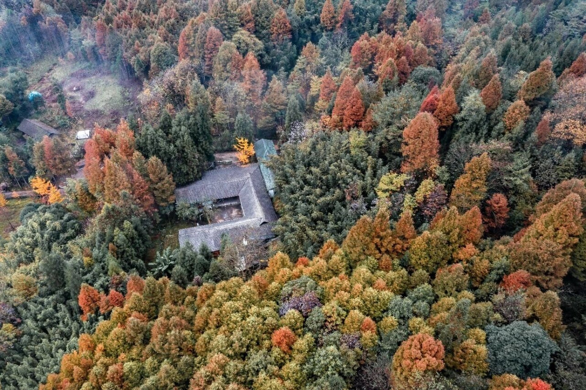 琉璃坝位于崇州,大邑,汶川交界的鸡冠山鞍子河大熊猫自然保护区内.