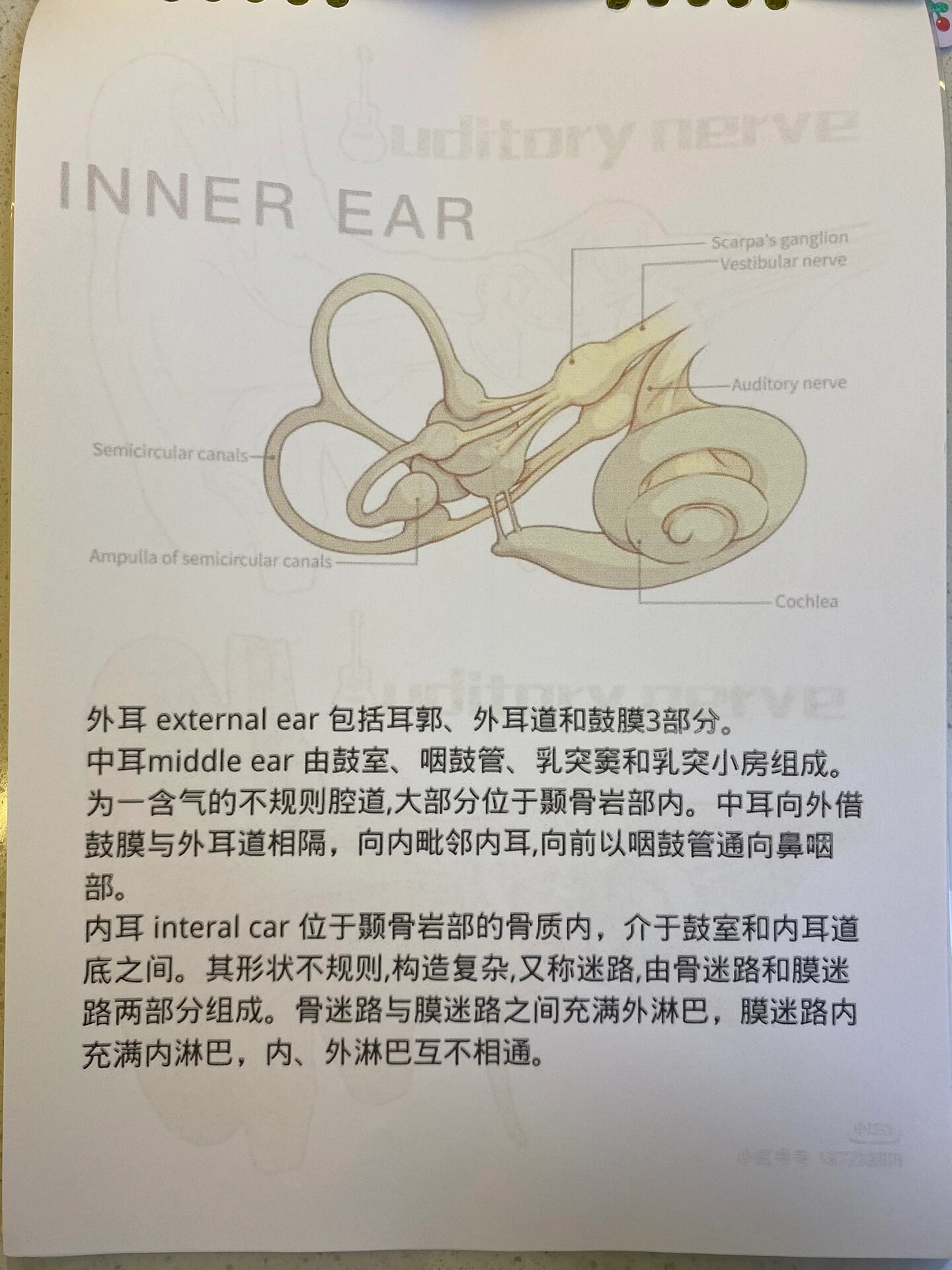 系解思维导图:12.