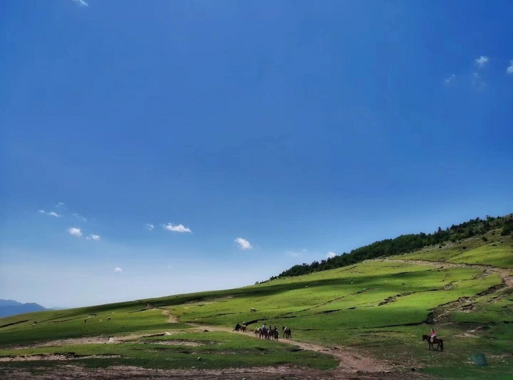 娄烦云顶山   太原避暑好地方 高山流水 绿草茵茵