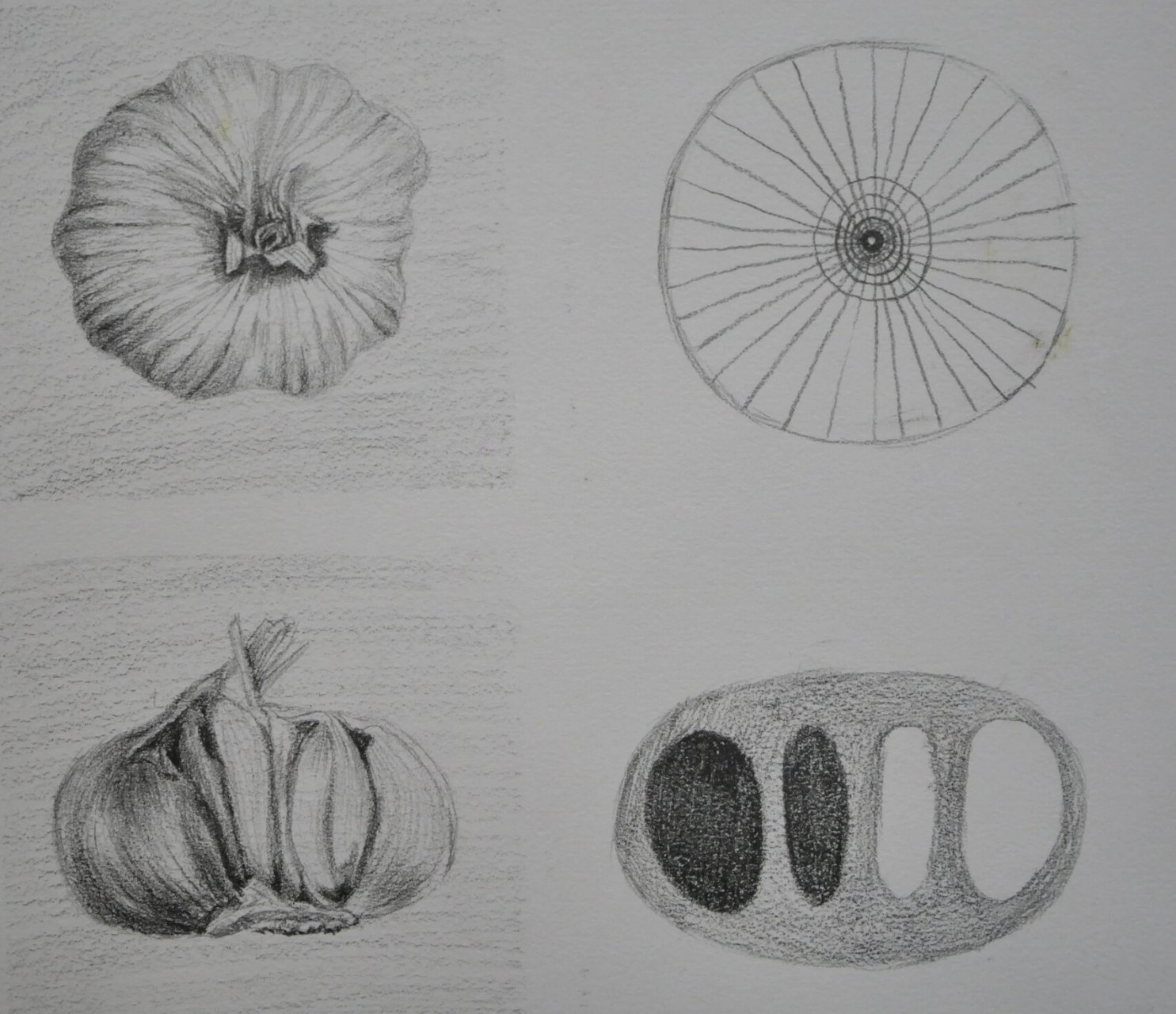 少儿素描怎么画肌理(大蒜) 写生不是以再现空间中的物象为目的,而是