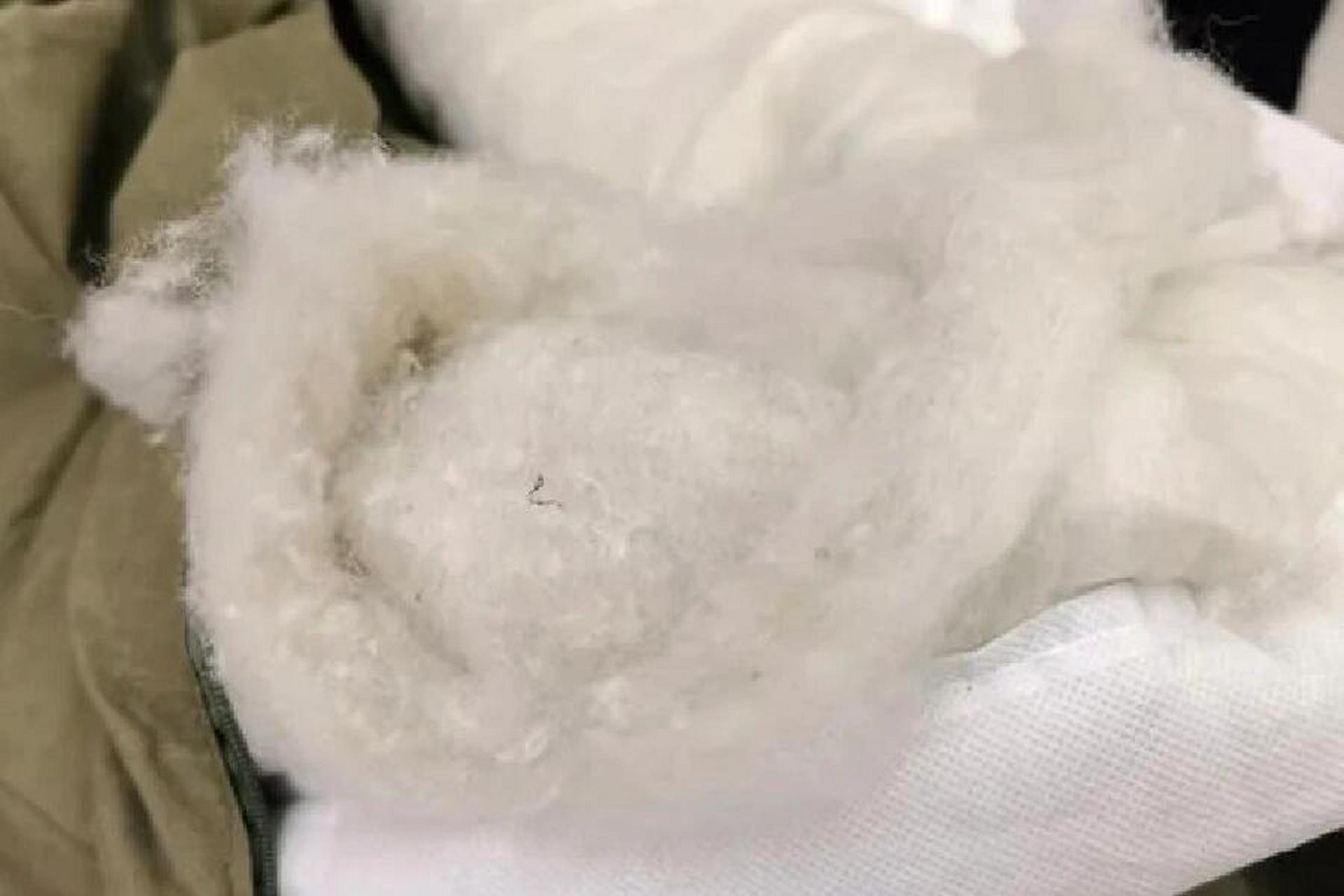 愤怒96拒绝黑心棉抱枕74 救命98天呐6015 才知道好多抱枕
