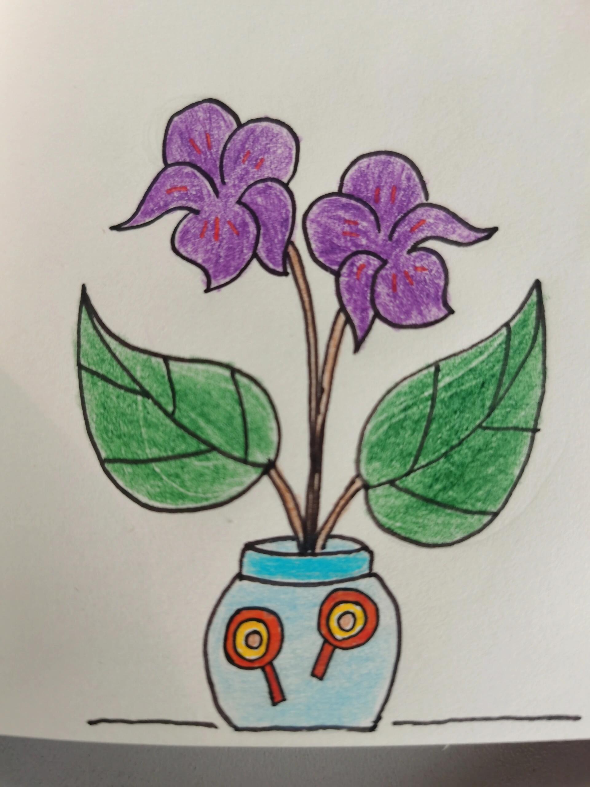 紫罗兰简笔画(有线稿)