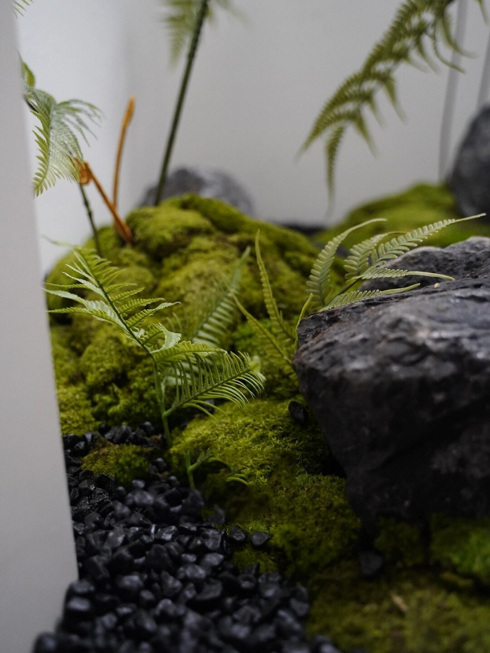 别墅天井|日式仿真蕨类植物造景景观要点 忙完情人节 安静地和大家