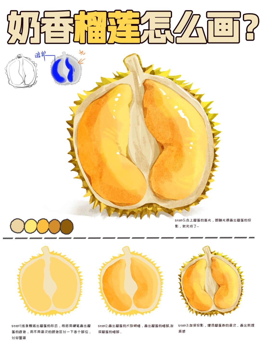 榴莲绘画步骤分享96