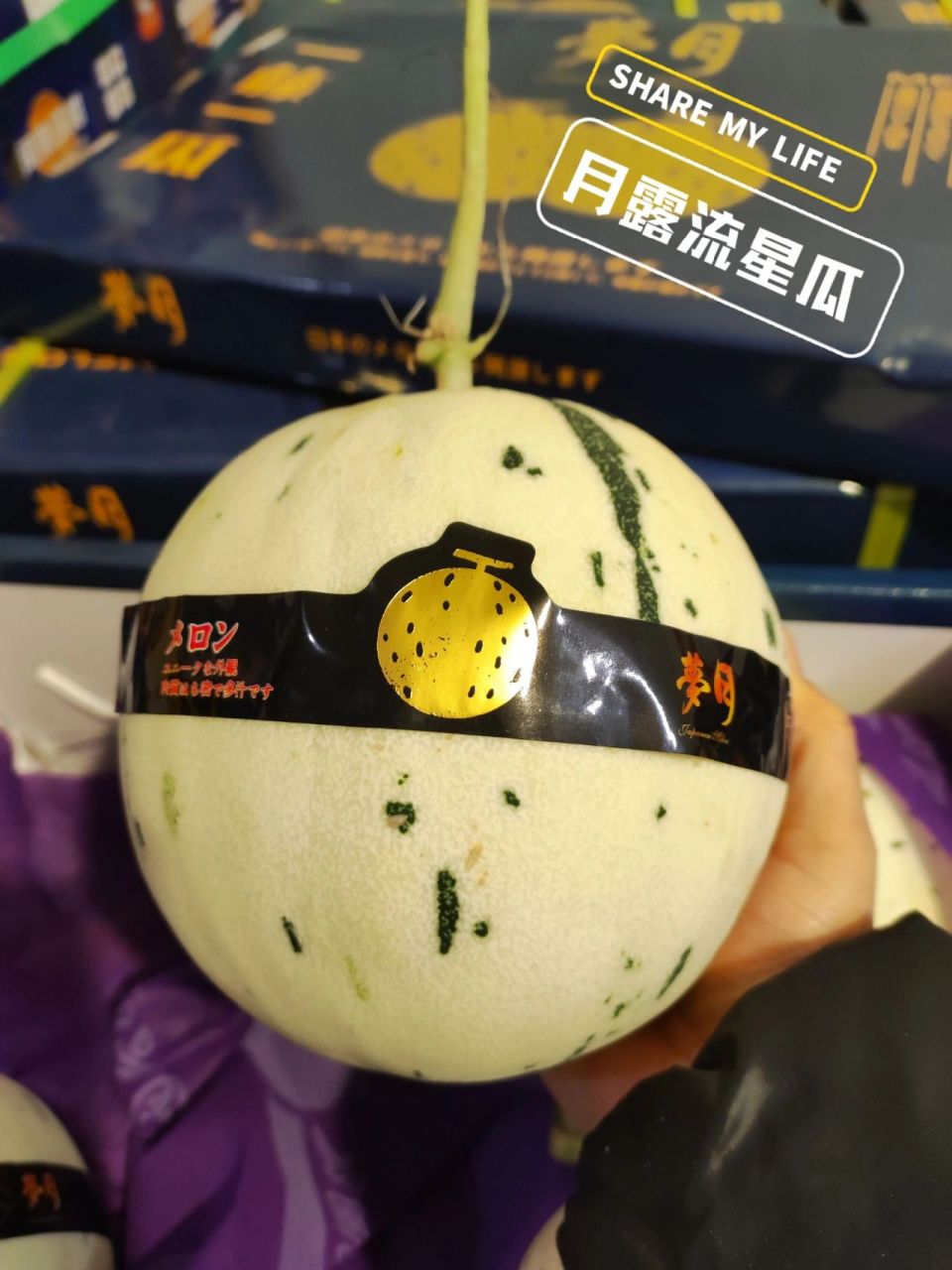 月露流星瓜,甜瓜界的天花板 月露蜜瓜全称月露流星蜜瓜,因为瓜的外皮