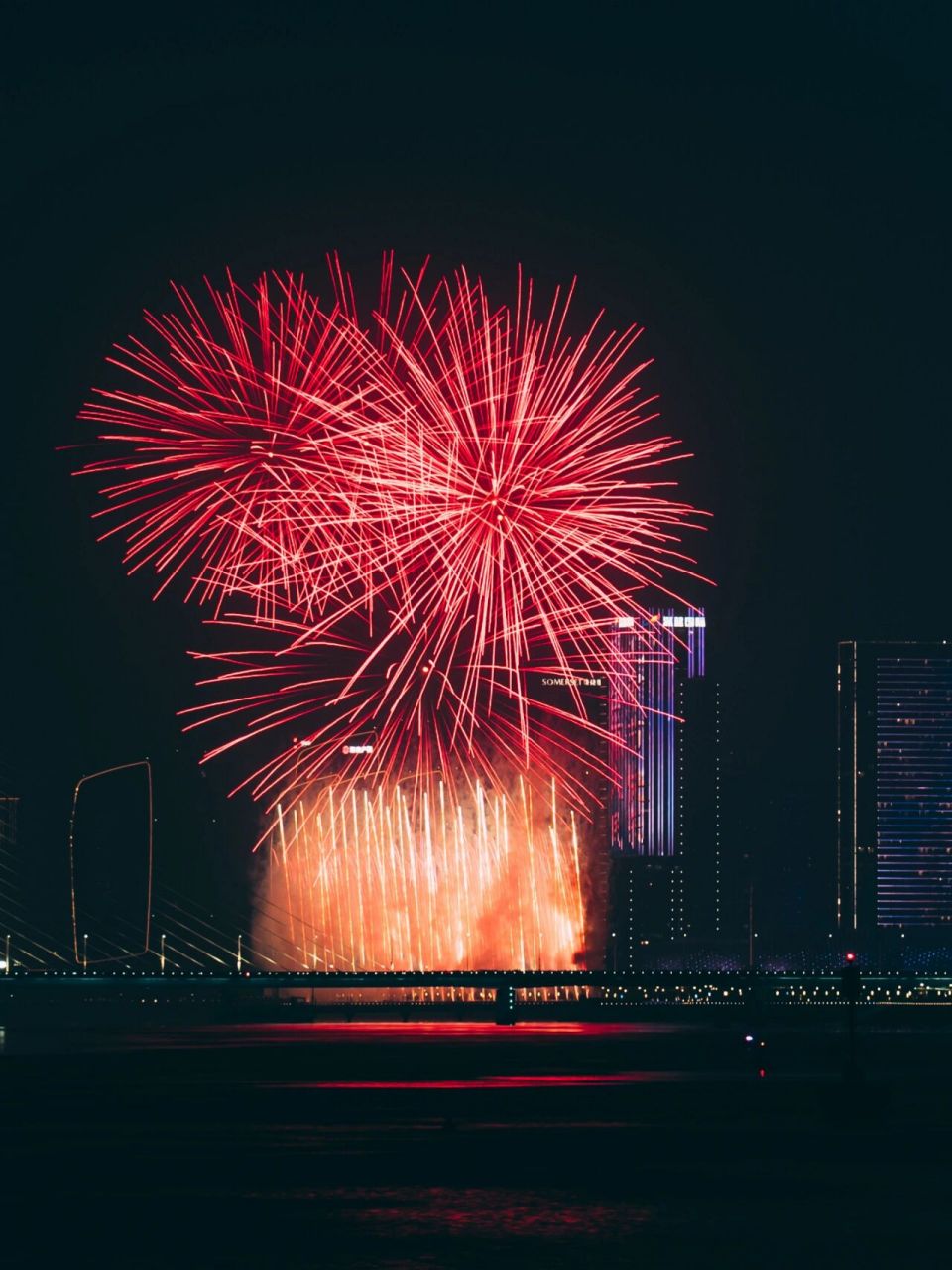 杭州烟花大会图片