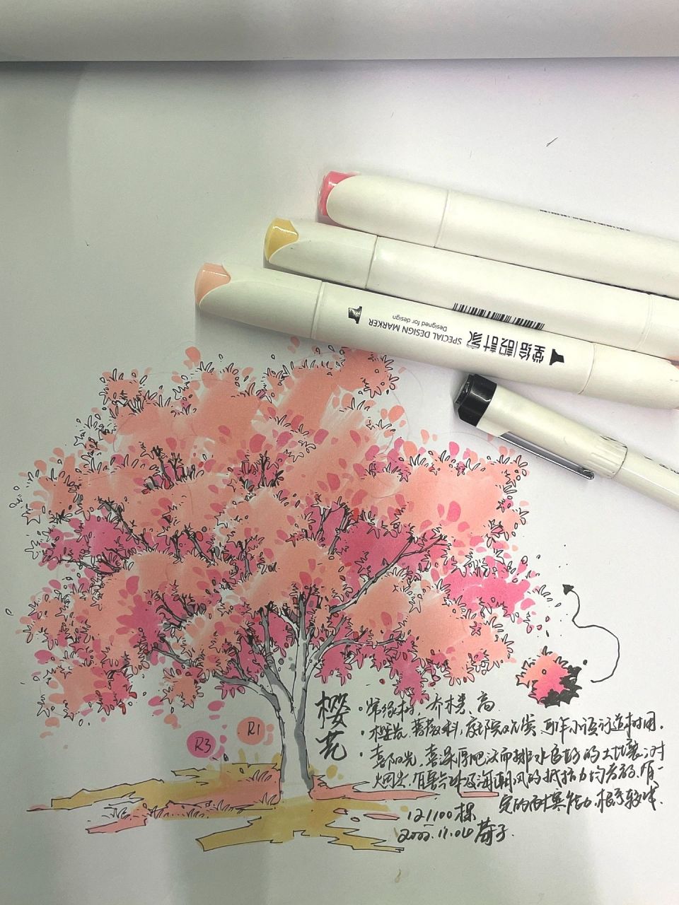 樱花树马克笔上色步骤|画12/100颗手绘植物 俩只马克笔-颜色分前后