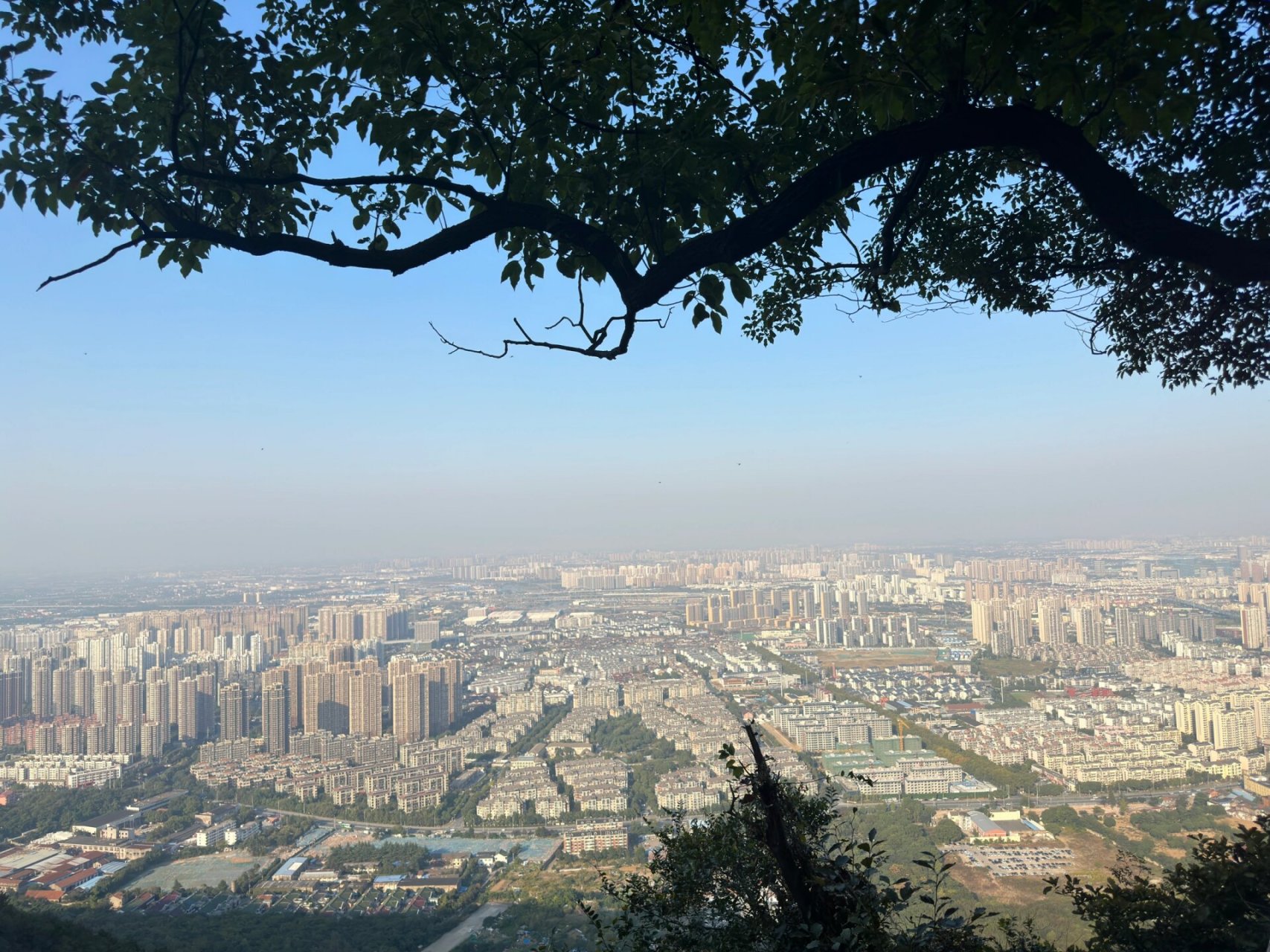 惠山森林公园秋日登高徒步|最轻松路线 从惠山森林公园北门上,周边