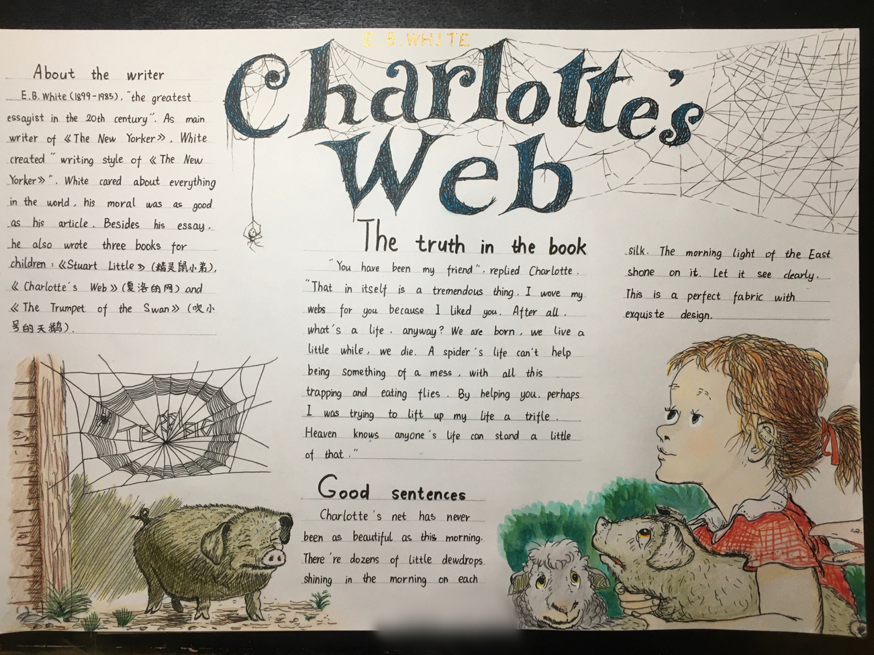 《夏洛的网》英文手抄报 画了四天 希望大家喜欢 92颜色用的是