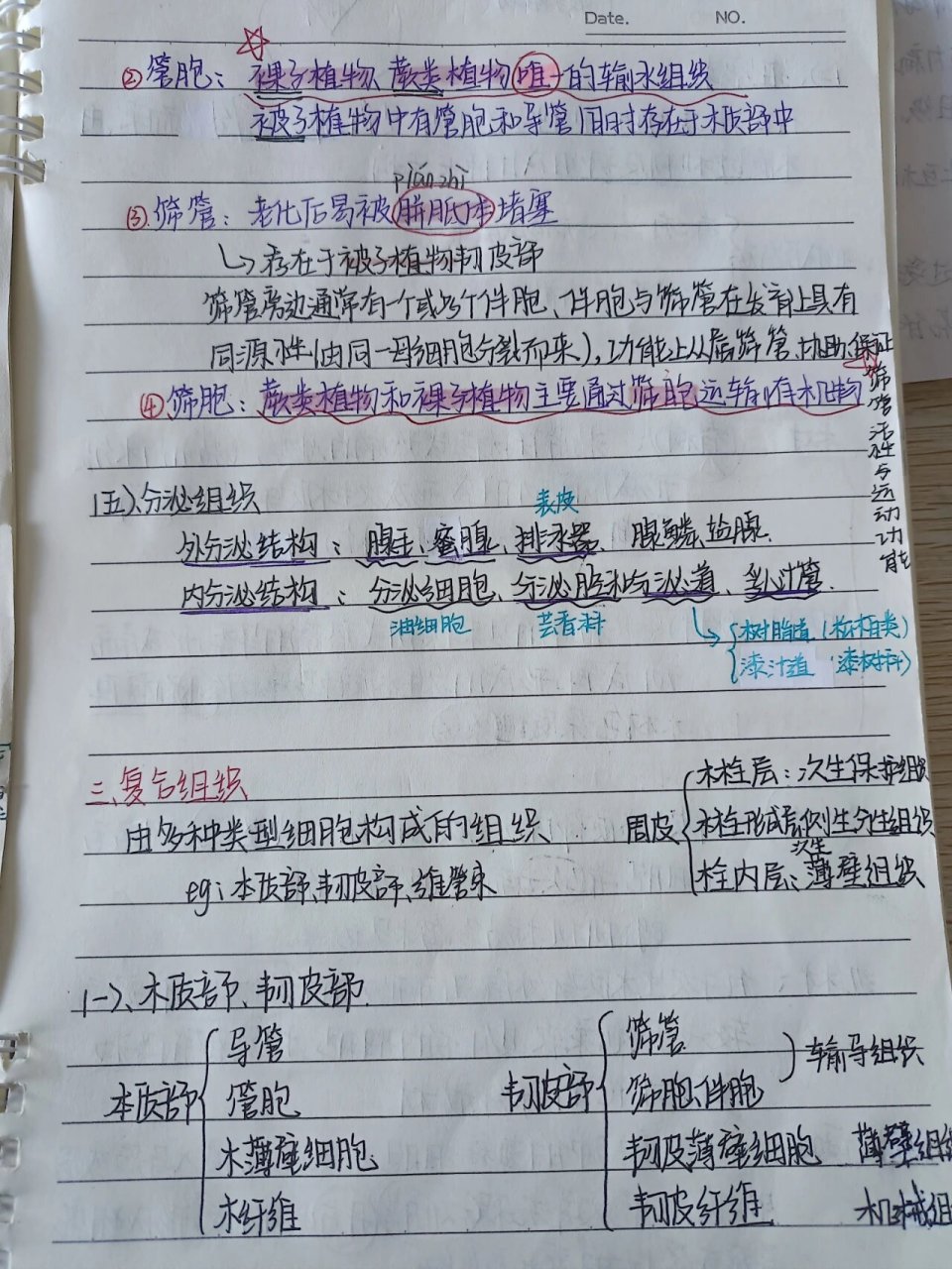 植物组织笔记 手写的大一植物学植物组织笔记,需要的姐妹点赞收藏吧