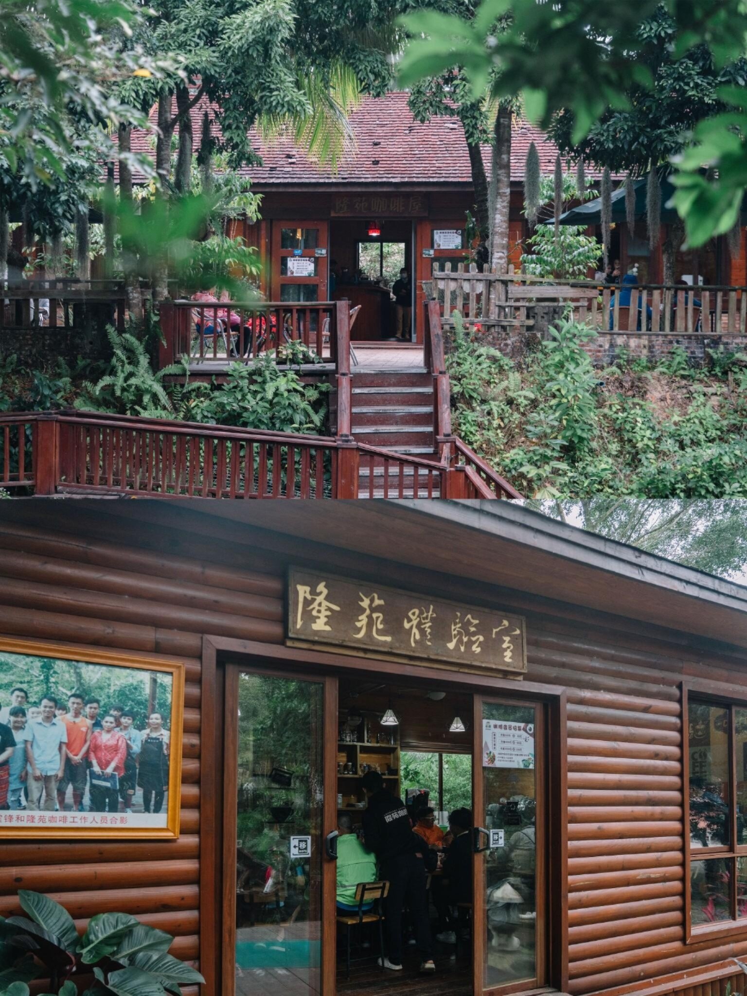 海南旅行|万宁小众咖啡庄园97隆苑咖啡