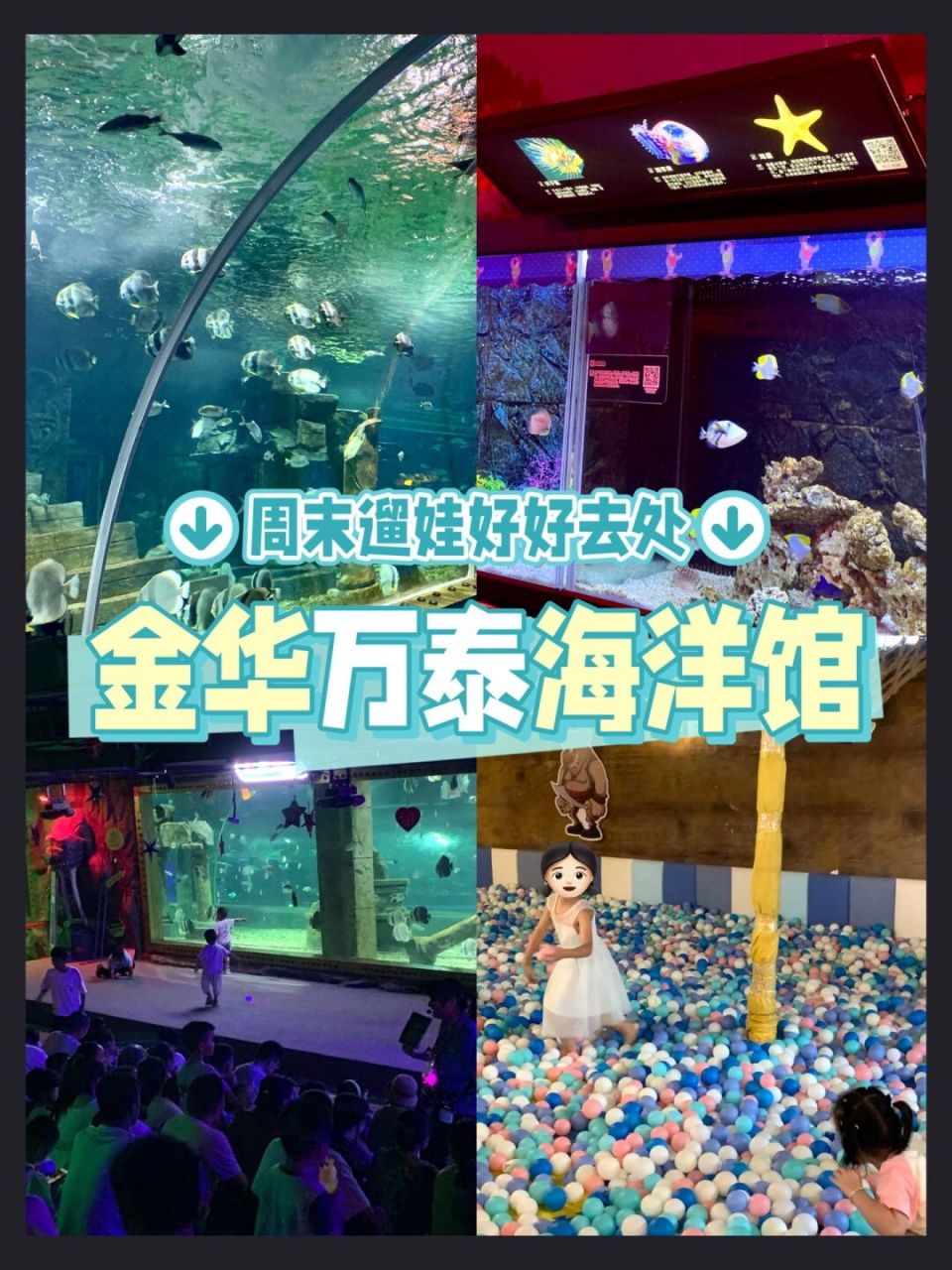 金华海洋馆98孩子们的夏日避暑胜地!