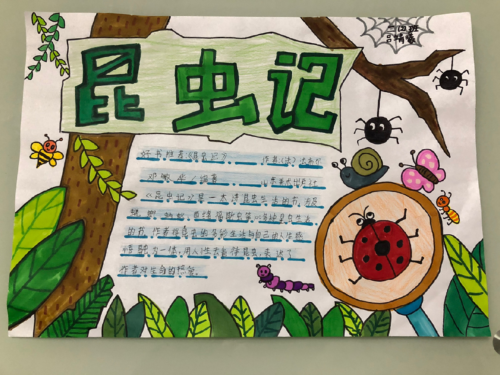 课外阅读手抄报,好书推荐手抄报