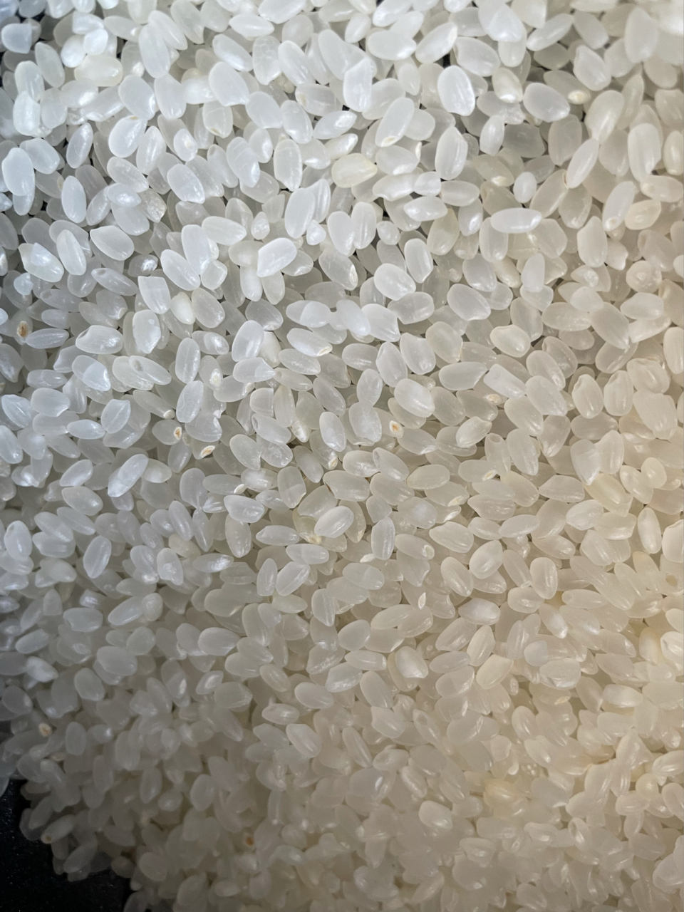 这样的米是发霉了了 第一张图片是开了一个月的,后面两张是刚刚打开的
