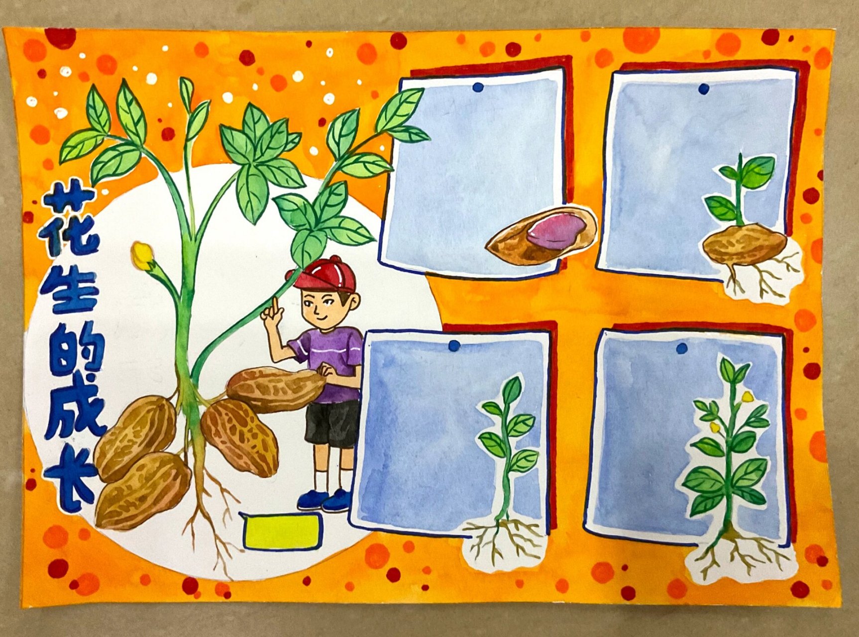 自然笔记花生(低价出) a4水彩画(代画)要的私聊,低价出