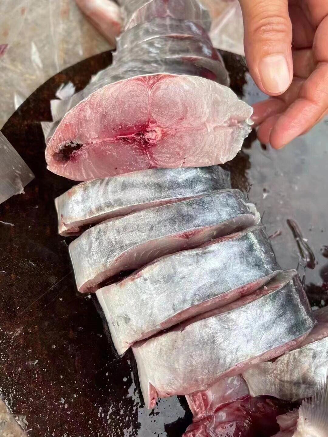 马胶鱼性价比高的深海鱼|一图教你认海鱼 95 马胶鱼又叫鲅鱼,是一种