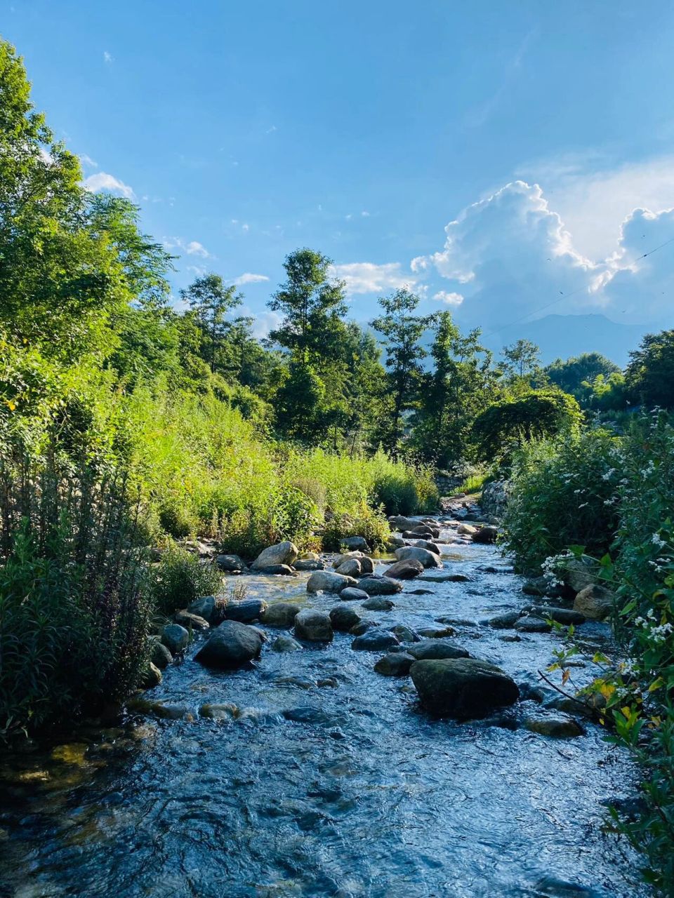 大理小众宝藏溯溪地——清碧溪(附路线图) 离大理希尔顿不远,导航"