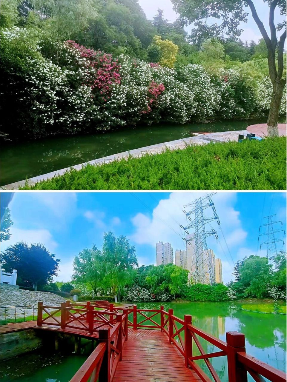 合肥超级花墙打卡攻略来了6015就在匡河公园 合肥小瀑布人太多?