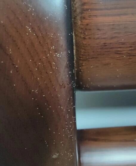 手机屏幕出现类似灰尘一样的粉螨