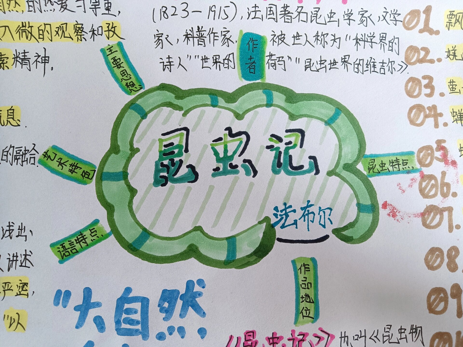 《昆虫记》思维导图 熙熙哦97