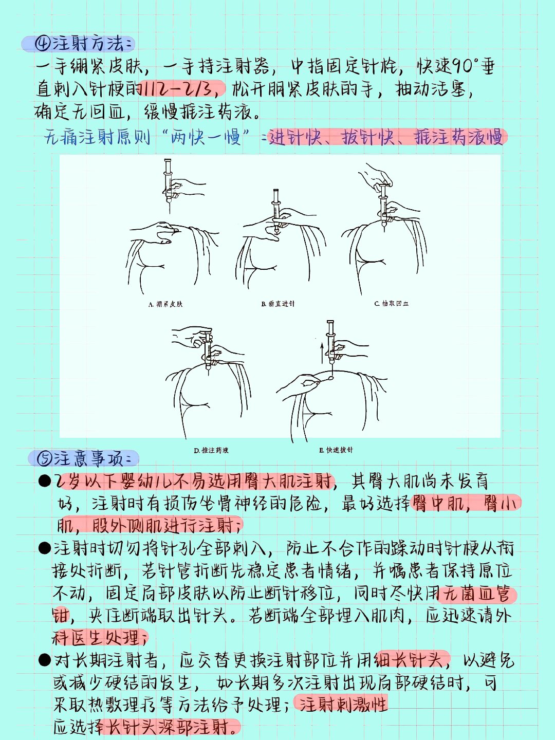 猫肌肉注射部位图解图片