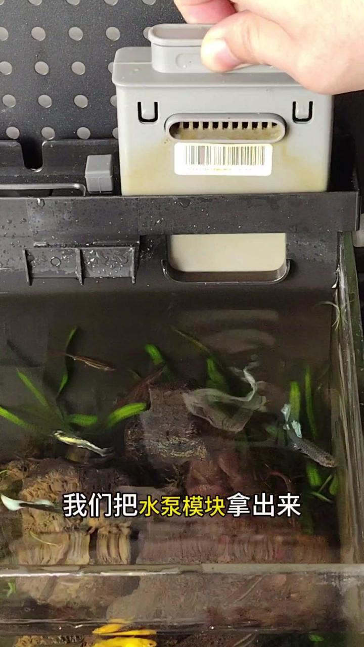 小米鱼缸雨淋管安装教程2  99今天来看一下小米鱼缸雨淋管的安装