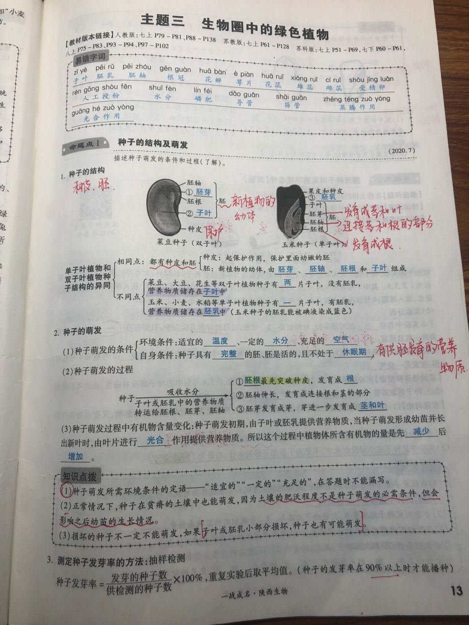 人教版 初中生物总复习 被子植物的一生