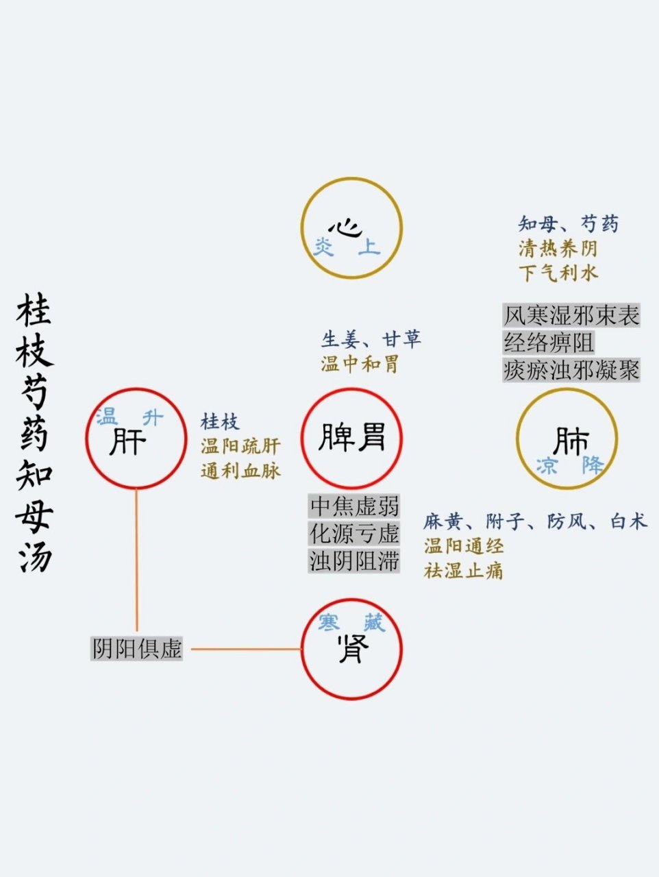 桂枝芍药知母汤神奇图片