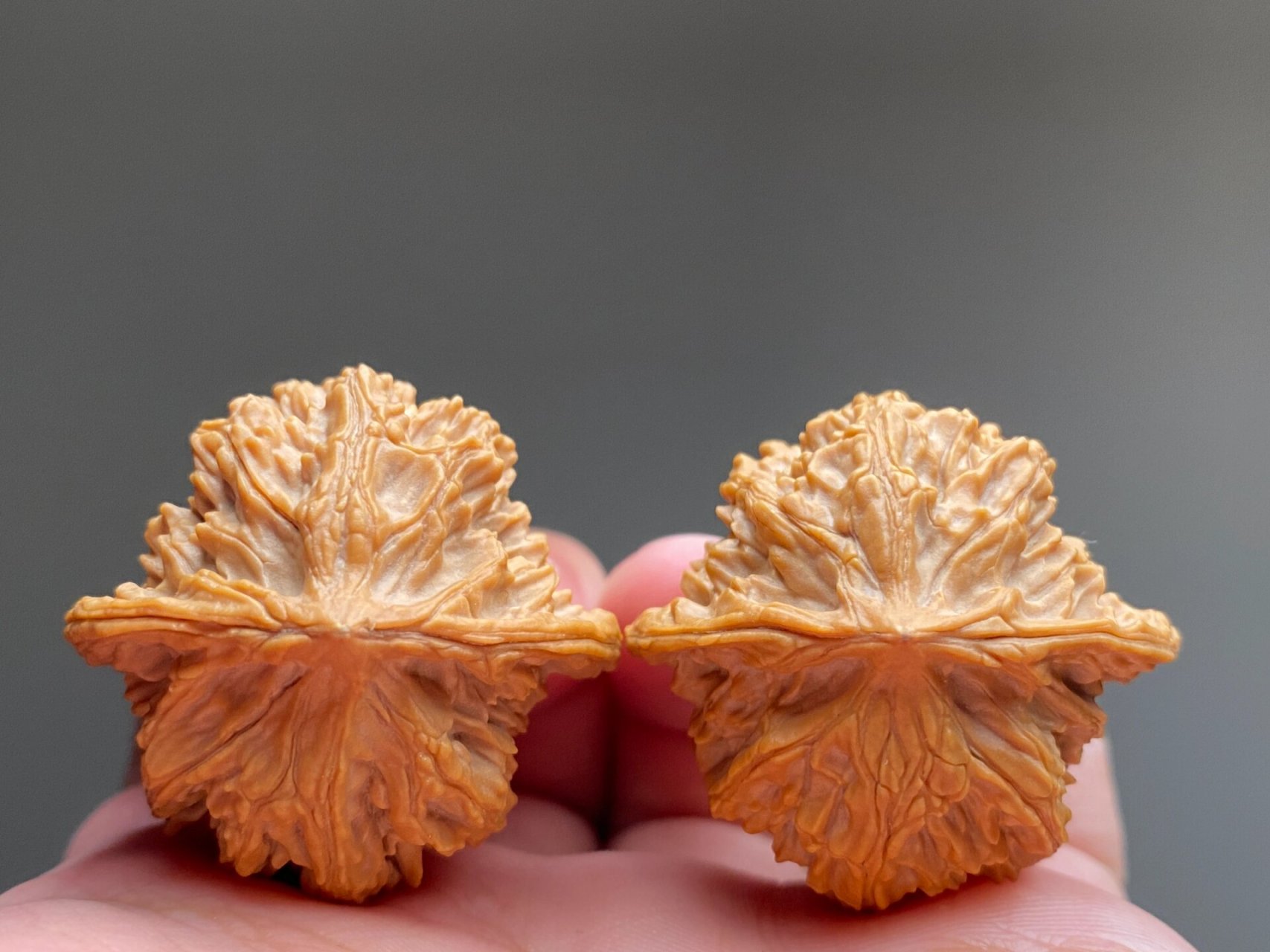 文玩核桃之血灯笼狮子头0315 一款数量极少的老款核桃,血灯笼狮子