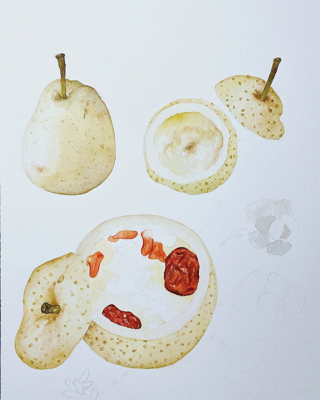 水彩美食 手绘食谱 冰糖炖雪梨 附过程图 参加i g的foodartmonthly