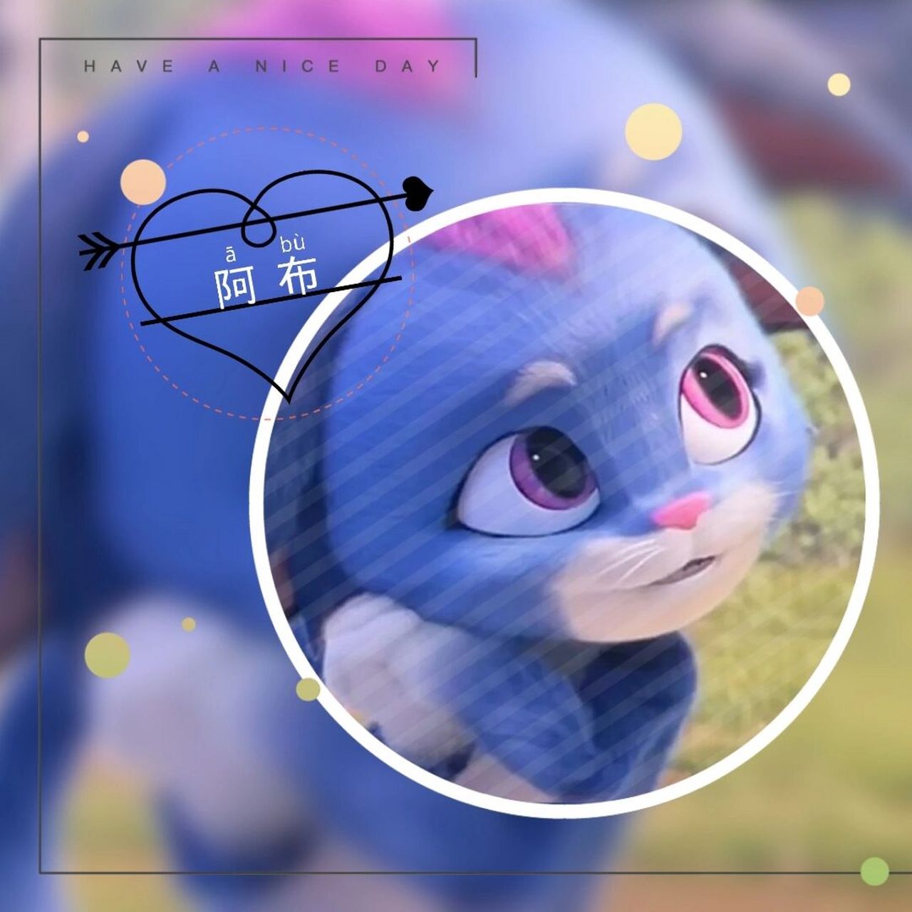 粉丝们期待的阿布头像来了