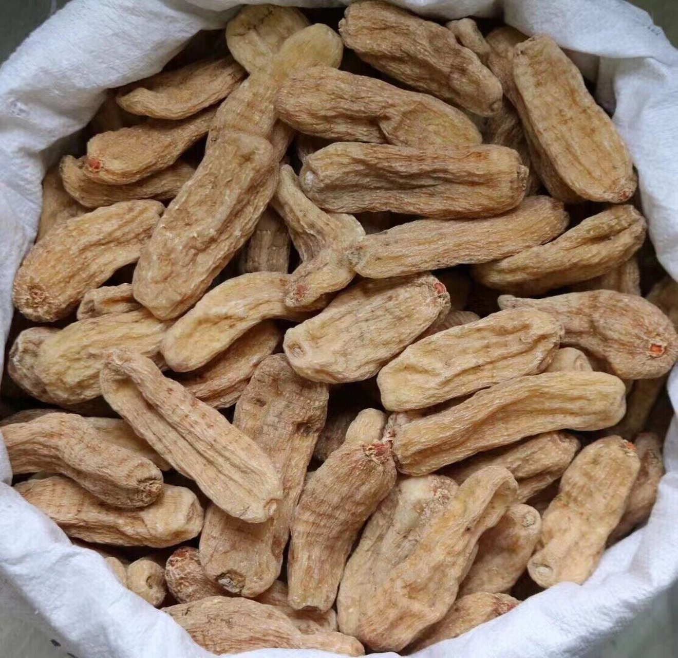 云南丽江大号红天麻 一斤大概7头左右 最漂亮最大的云南丽江天麻,最大