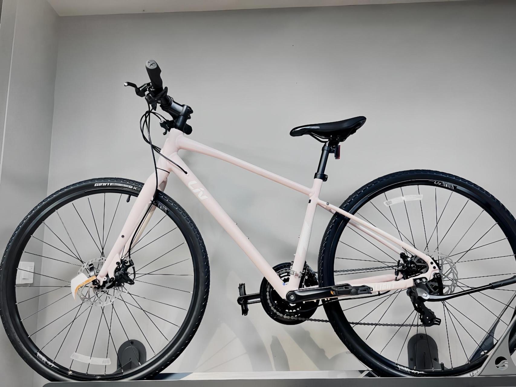 捷安特liv  alight 2消光肤粉.