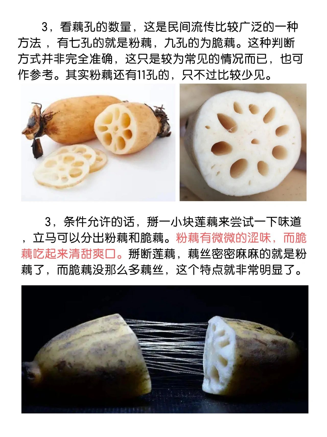 粉藕和脆藕区分图片图片