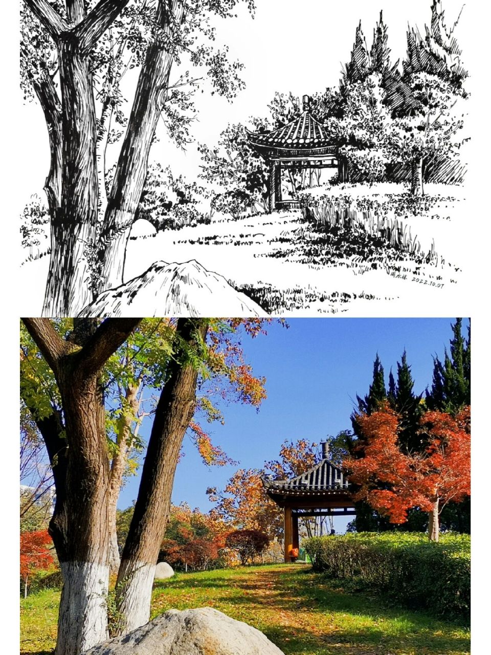 用力感受秋天的美景～钢笔风景速写写生 最喜欢在家门口的河心公园