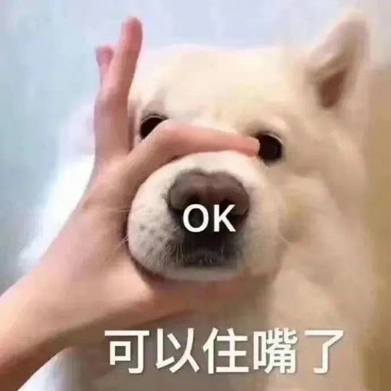 一脸真诚 表情包分享 一脸真诚 表情包分享