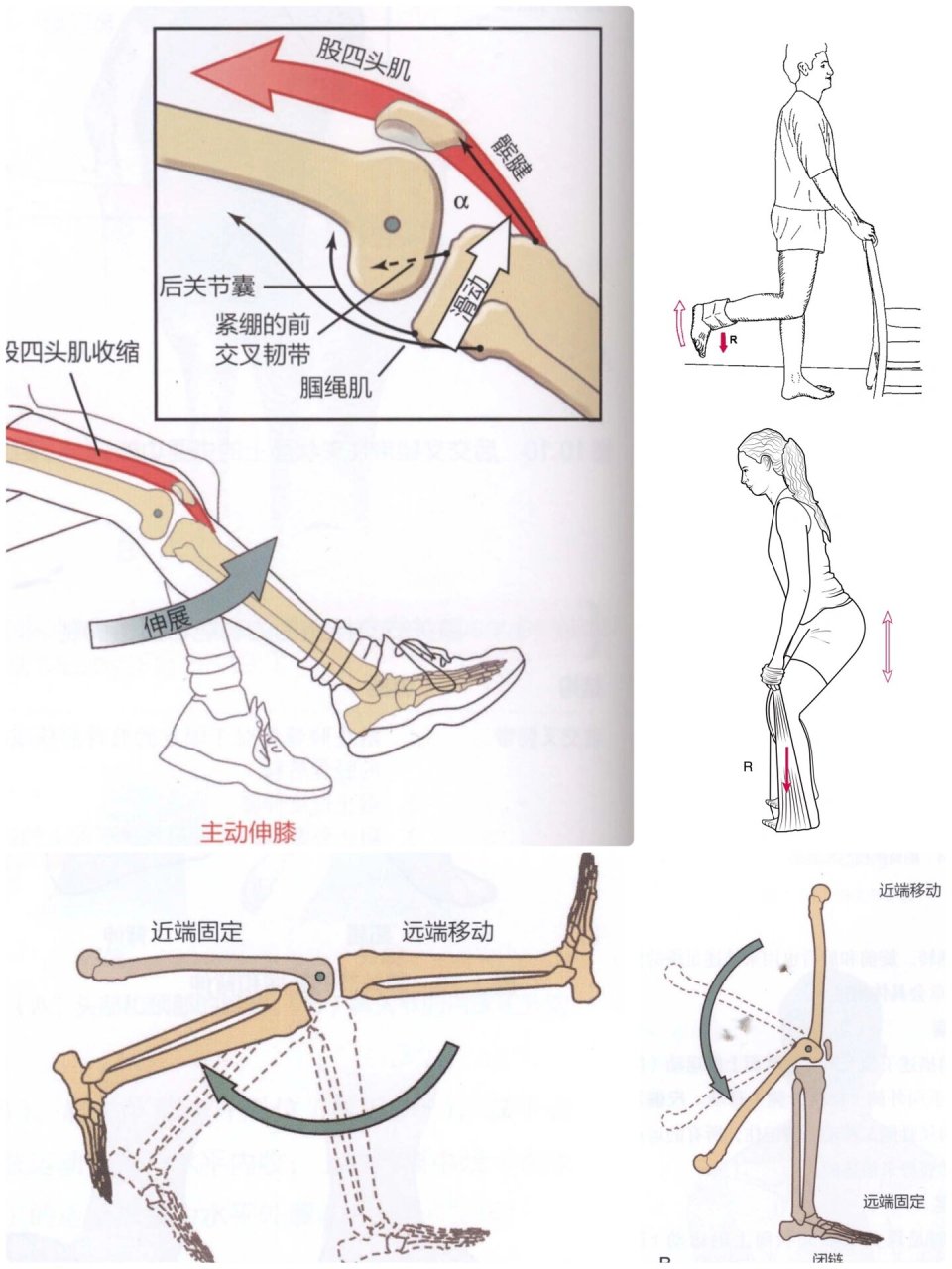 闭链运动图片