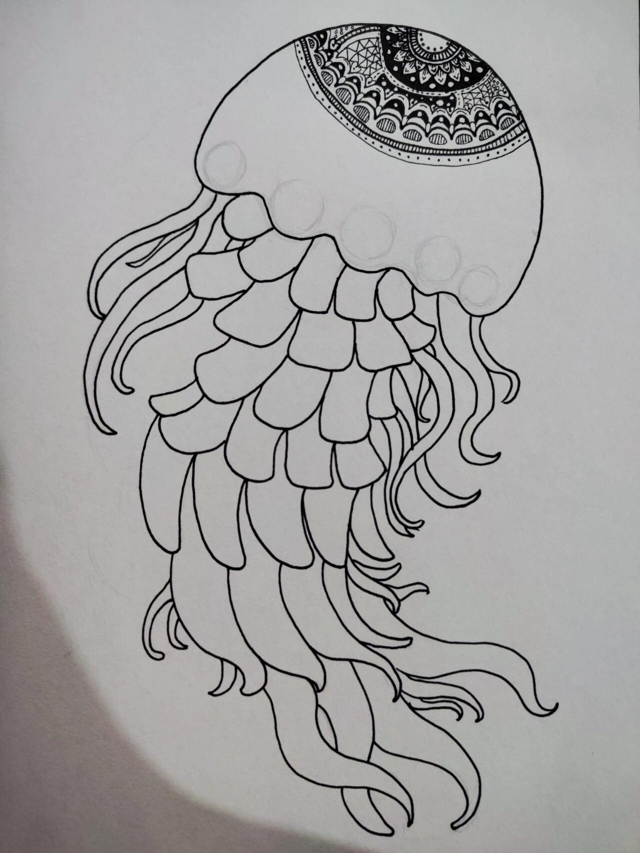 零基础继续来练习控笔啦 动物线描画 水母