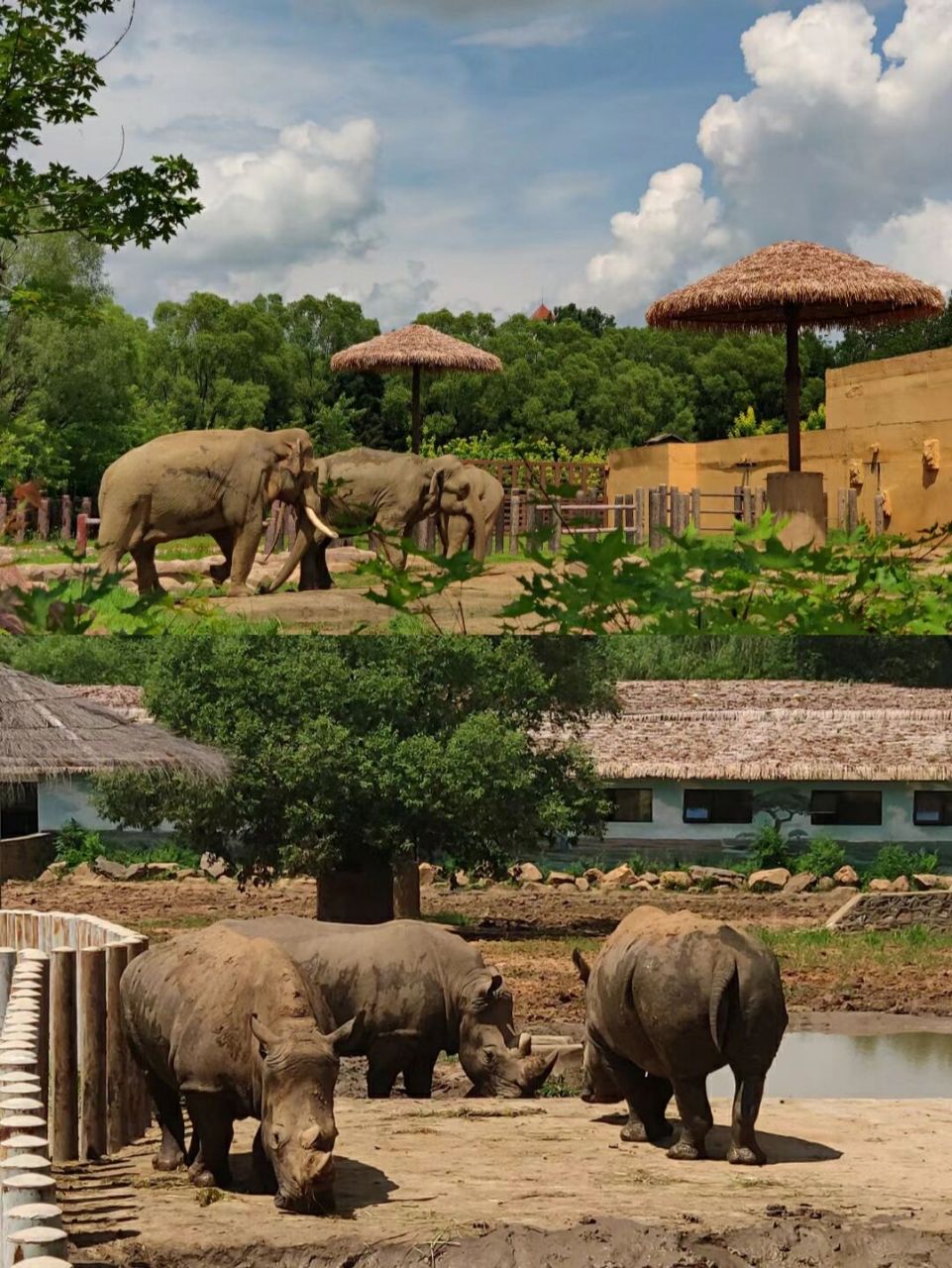 棋盘山森林动物园游玩攻略 沈阳景点打卡——棋盘山森林动物园 ①交通